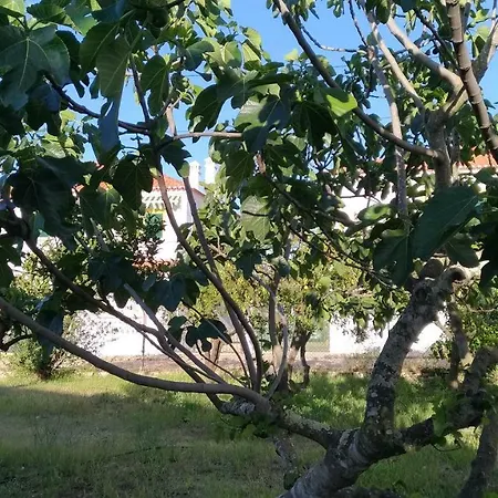 Casa D'avo 公寓 *