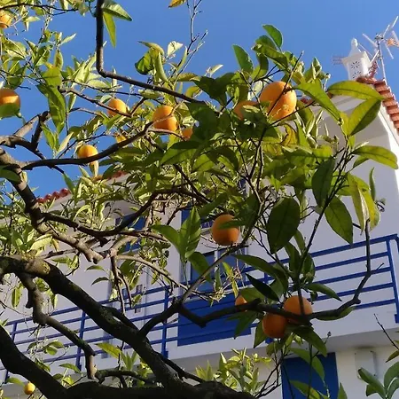公寓 Casa D'avo *